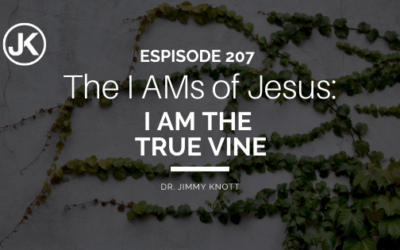 Gigantic Affirmations of Christ: The I AMs of Jesus – I AM the True Vine # 207